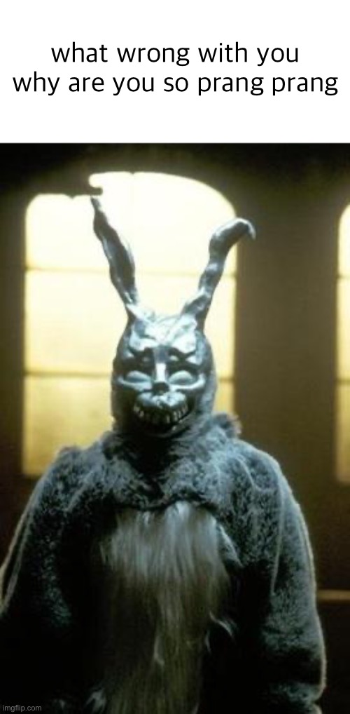 donnie darko | what wrong with you why are you so prang prang | image tagged in donnie darko,frank | made w/ Imgflip meme maker