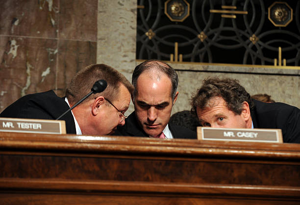 The 3 senators that lost with Trump on the ballot Blank Meme Template