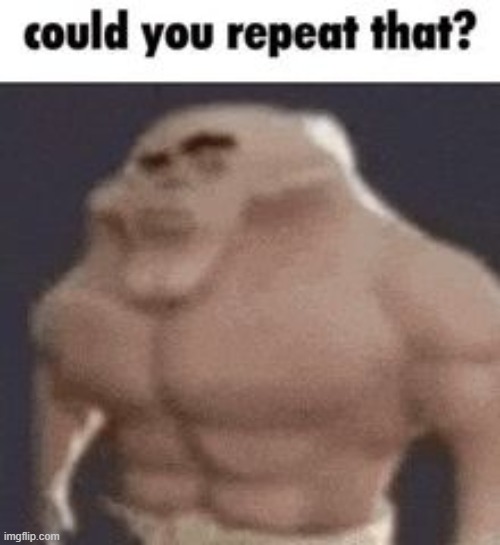 Could you repeat that? | image tagged in could you repeat that | made w/ Imgflip meme maker