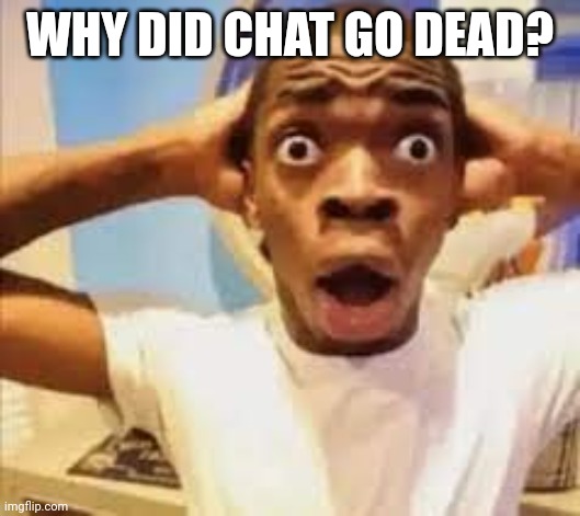 Shocked Black Dude | WHY DID CHAT GO DEAD? | image tagged in shocked black dude,memes,msmg,chat,dead | made w/ Imgflip meme maker