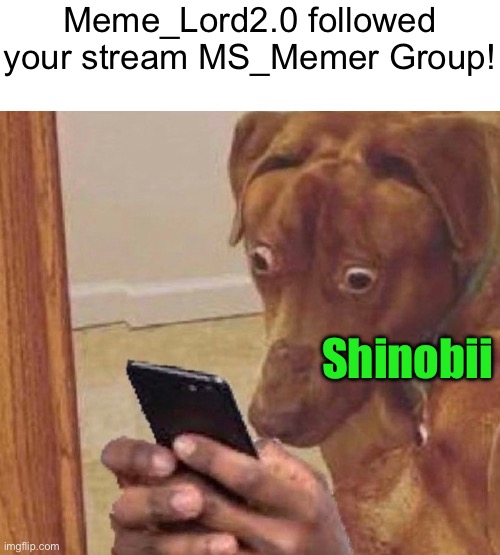 shocked dog | Meme_Lord2.0 followed your stream MS_Memer Group! Shinobii | image tagged in shocked dog | made w/ Imgflip meme maker