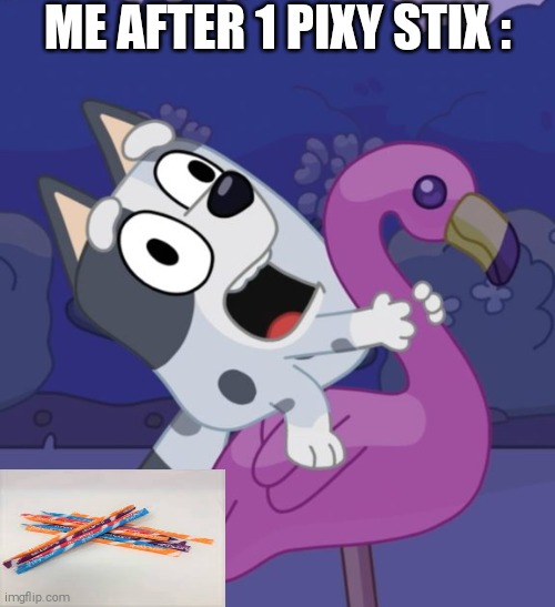 Me After 1 Pixy Stix | ME AFTER 1 PIXY STIX : | image tagged in bluey crazy muffin,pixy stix,shitpost | made w/ Imgflip meme maker