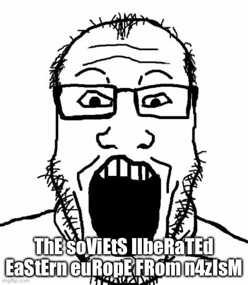 Excited soyja markiplier | ThE soViEtS lIbeRaTEd EaStErn euRopE FRom n4zIsM | image tagged in excited soyja markiplier | made w/ Imgflip meme maker