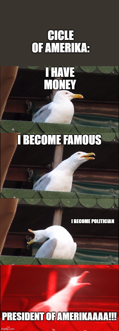 Inhaling Seagull | CICLE OF AMERIKA:; I HAVE MONEY; I BECOME FAMOUS; I BECOME POLITICIAN; PRESIDENT OF AMERIKAAAA!!! | image tagged in memes,inhaling seagull | made w/ Imgflip meme maker