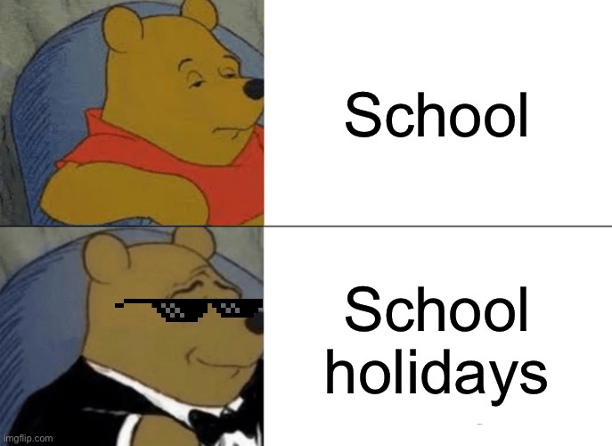 Holidays | School; School holidays | image tagged in memes,tuxedo winnie the pooh | made w/ Imgflip meme maker