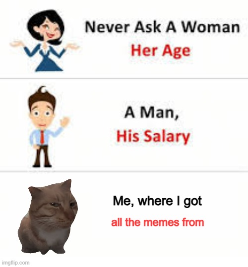 Never ask a woman her age | Me, where I got; all the memes from | image tagged in never ask a woman her age | made w/ Imgflip meme maker