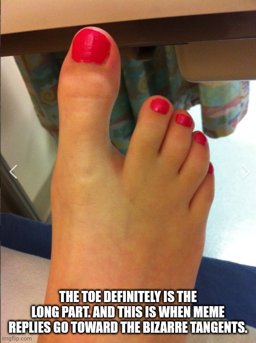 THE TOE DEFINITELY IS THE LONG PART. AND THIS IS WHEN MEME REPLIES GO TOWARD THE BIZARRE TANGENTS. | made w/ Imgflip meme maker