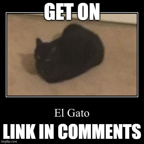 We're playing cards against humanity | GET ON; LINK IN COMMENTS | image tagged in cosmo s el gato | made w/ Imgflip meme maker