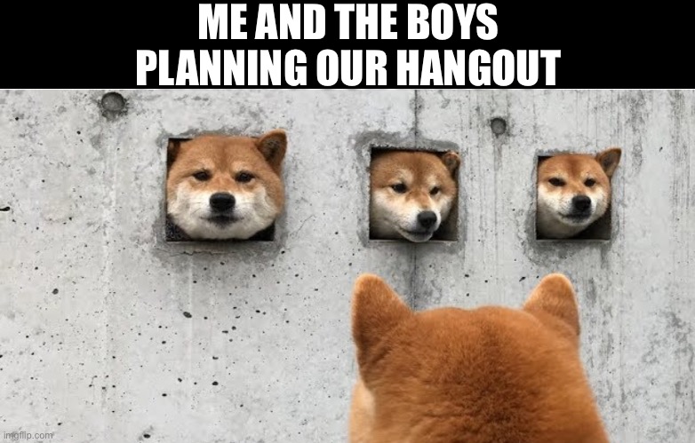 The good old days… | ME AND THE BOYS PLANNING OUR HANGOUT | image tagged in the doge council,memes,the boys | made w/ Imgflip meme maker