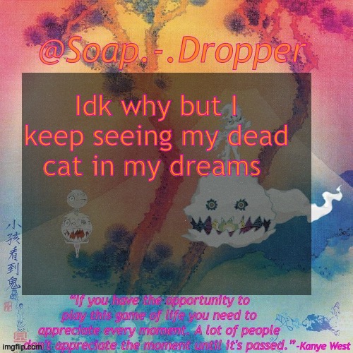 They died in like April | Idk why but I keep seeing my dead cat in my dreams | image tagged in soap - dropper s ksg temp | made w/ Imgflip meme maker