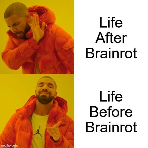 In The Childhood Days | Life After Brainrot; Life Before Brainrot | image tagged in memes,drake hotline bling | made w/ Imgflip meme maker