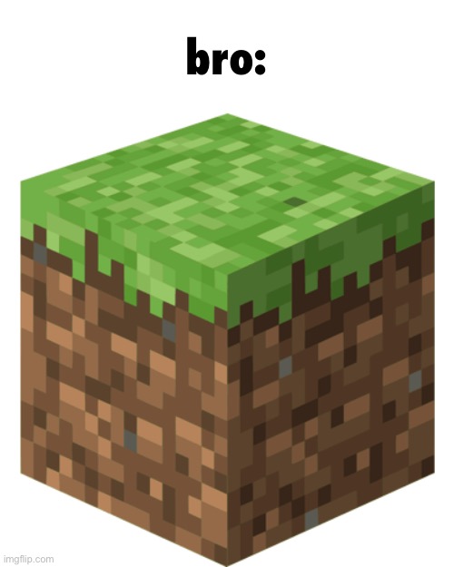 Minecraft block | bro: | image tagged in minecraft block | made w/ Imgflip meme maker