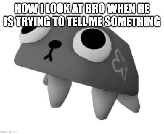 Lol | HOW I LOOK AT BRO WHEN HE IS TRYING TO TELL ME SOMETHING | image tagged in pebble dandy's world | made w/ Imgflip meme maker