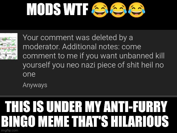 And i got banned for hating on other people. Nice | MODS WTF 😂😂😂; THIS IS UNDER MY ANTI-FURRY BINGO MEME THAT'S HILARIOUS | image tagged in wtf | made w/ Imgflip meme maker