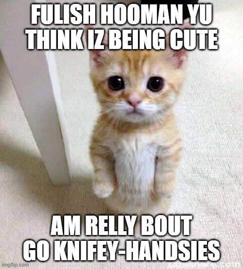 I am become Death, the Destoyer of Curtains, Scratcher of Faces. | FULISH HOOMAN YU THINK IZ BEING CUTE; AM RELLY BOUT GO KNIFEY-HANDSIES | image tagged in memes,cute cat | made w/ Imgflip meme maker