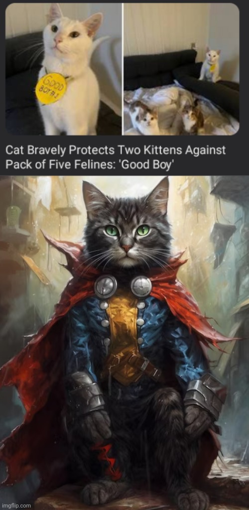 Heroic Cato | image tagged in thor cat,kittens,memes,cats,cat,felines | made w/ Imgflip meme maker