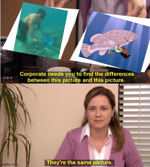 Gay Fish | image tagged in memes,they're the same picture | made w/ Imgflip meme maker