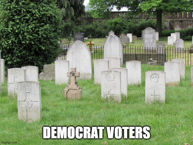 Grave yard | DEMOCRAT VOTERS | image tagged in grave yard | made w/ Imgflip meme maker