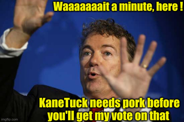 Rand Paul Whoa | KaneTuck needs pork before you'll get my vote on that Waaaaaaait a minute, here ! | image tagged in rand paul whoa | made w/ Imgflip meme maker