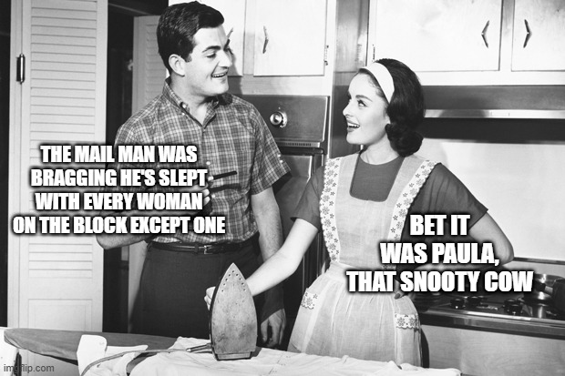 The Mailman | THE MAIL MAN WAS BRAGGING HE'S SLEPT WITH EVERY WOMAN ON THE BLOCK EXCEPT ONE; BET IT WAS PAULA, THAT SNOOTY COW | image tagged in vintage husband and wife | made w/ Imgflip meme maker