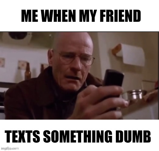 Texts Something Dumb | ME WHEN MY FRIEND; TEXTS SOMETHING DUMB | image tagged in walter white sad,funny,meme | made w/ Imgflip meme maker