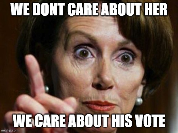 Nancy Pelosi No Spending Problem | WE DONT CARE ABOUT HER WE CARE ABOUT HIS VOTE | image tagged in nancy pelosi no spending problem | made w/ Imgflip meme maker