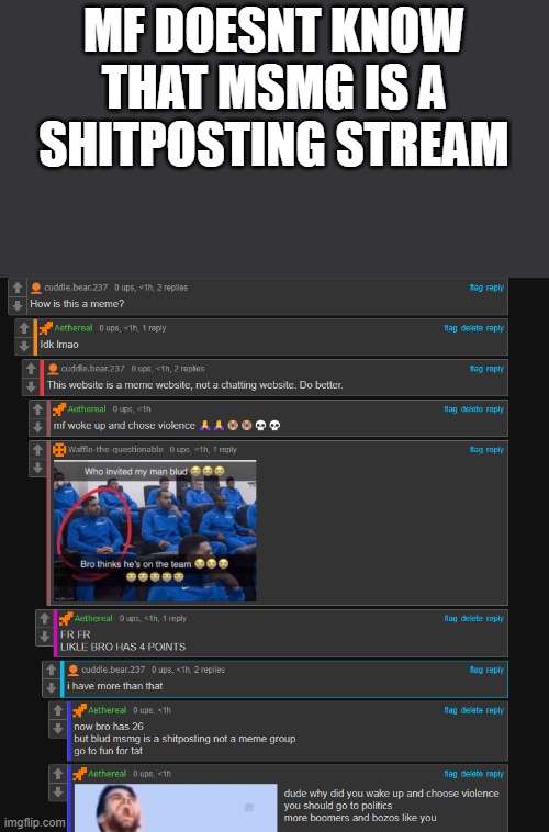 what is bro spouting about??? | MF DOESNT KNOW THAT MSMG IS A SHITPOSTING STREAM | made w/ Imgflip meme maker