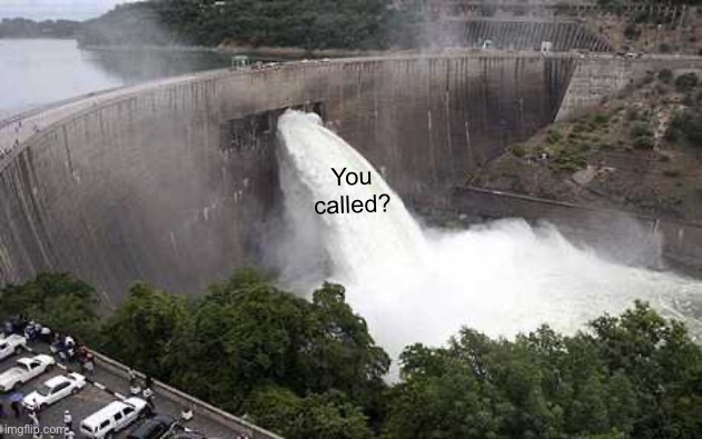 Dam with hole | You called? | image tagged in dam with hole | made w/ Imgflip meme maker