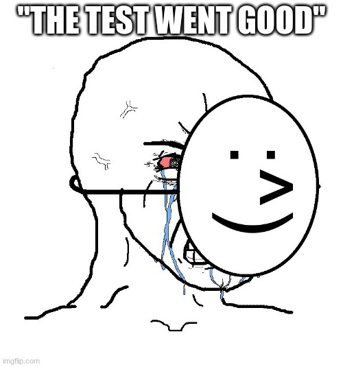 me when someone asks how was the test | "THE TEST WENT GOOD" | image tagged in pretending to be happy hiding crying behind a mask | made w/ Imgflip meme maker