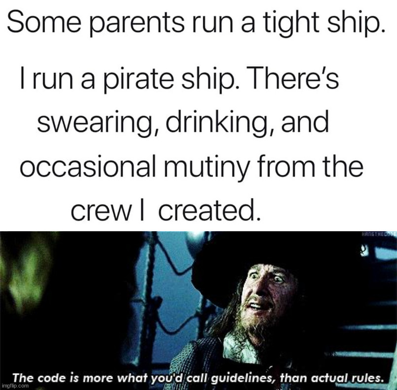 Pirate house | image tagged in more like guidelines | made w/ Imgflip meme maker