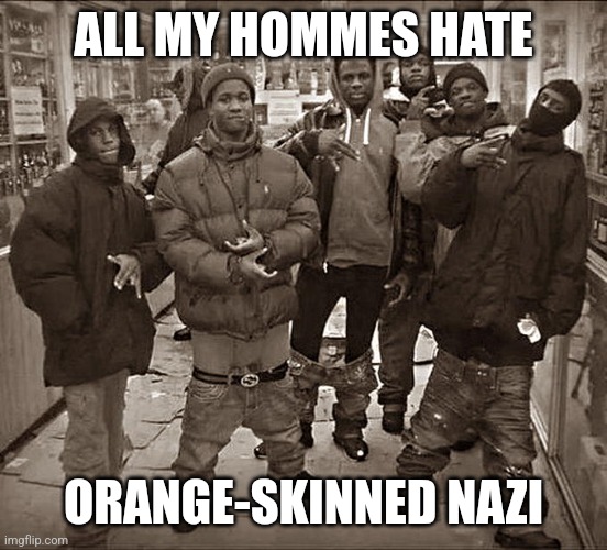 ALL MY HOMMES HATE ORANGE-SKINNED NAZI | image tagged in all my homies hate | made w/ Imgflip meme maker