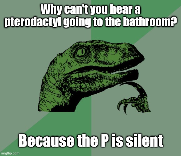 Pterrible | Why can't you hear a pterodactyl going to the bathroom? Because the P is silent | image tagged in dino think dinossauro pensador,silent,pee,dinosaur,bad jokes | made w/ Imgflip meme maker