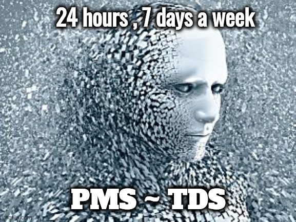 Robot | 24 hours , 7 days a week PMS ~ TDS | image tagged in robot | made w/ Imgflip meme maker