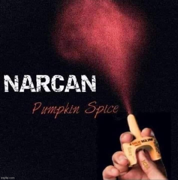 Pumpkin Spice | image tagged in fake | made w/ Imgflip meme maker