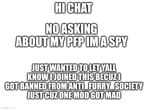 Hi chat | HI CHAT; NO ASKING ABOUT MY PFP IM A SPY; JUST WANTED TO LET YALL KNOW I JOINED THIS BECUZ I GOT BANNED FROM ANTI_FURRY_SOCIETY JUST CUZ ONE MOD GOT MAD | image tagged in idk | made w/ Imgflip meme maker