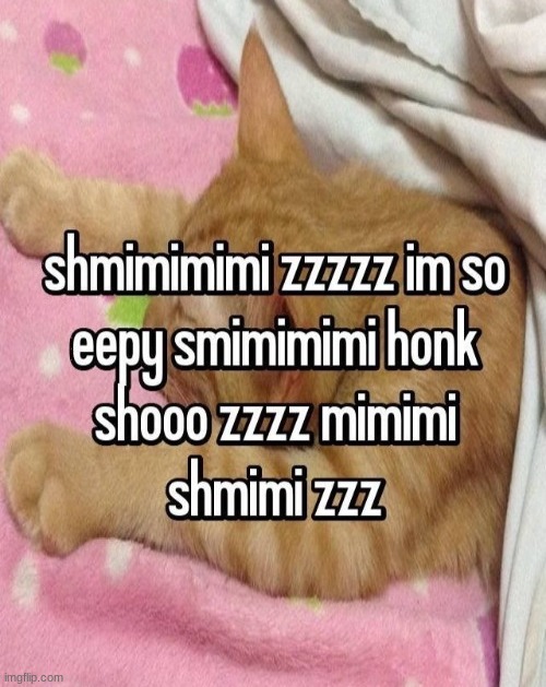 honk mimimi | image tagged in honk mimimi | made w/ Imgflip meme maker