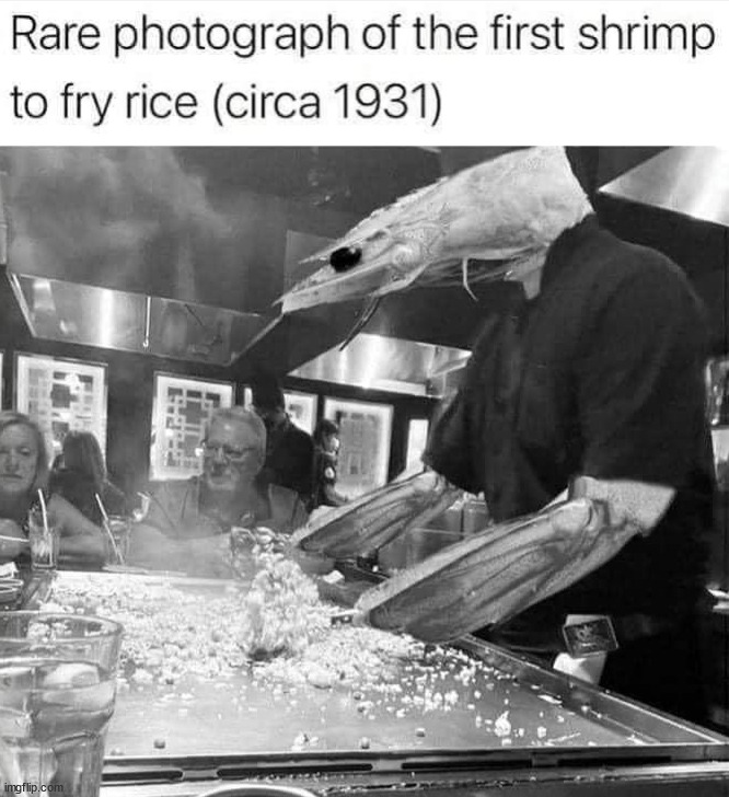 Love shrimp fried rice | image tagged in history | made w/ Imgflip meme maker