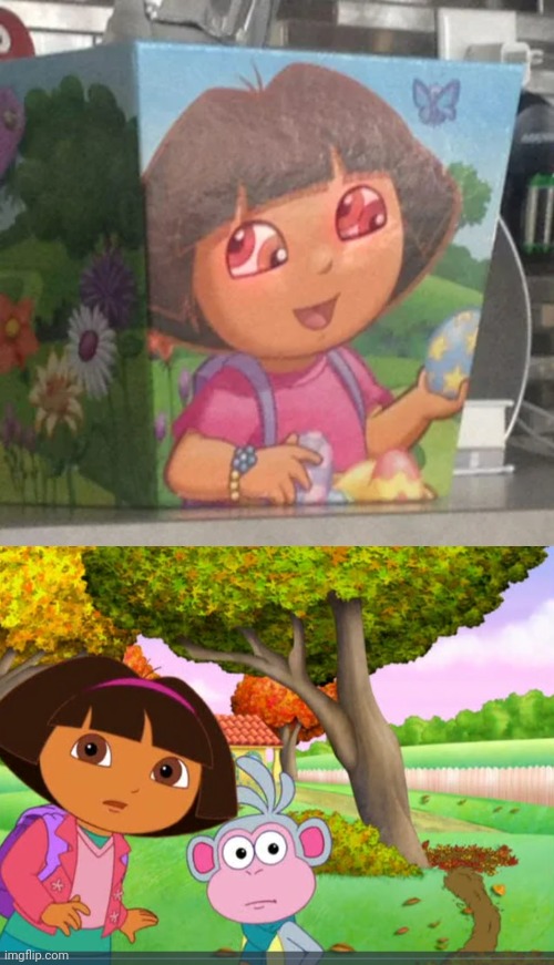 Dora's eyes | image tagged in shocked dora looking at viewer,dora,dora the explorer,eyes,cursed image,memes | made w/ Imgflip meme maker