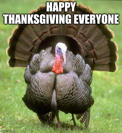 Turkey Meme | HAPPY THANKSGIVING EVERYONE | image tagged in memes,turkey | made w/ Imgflip meme maker