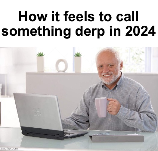 I think everyone uses any other word now | How it feels to call something derp in 2024 | image tagged in old man computer coffee meme | made w/ Imgflip meme maker