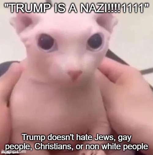 Therefore, not a Nazi | "TRUMP IS A NAZI!!!!1111"; Trump doesn't hate Jews, gay people, Christians, or non white people | image tagged in bingus | made w/ Imgflip meme maker