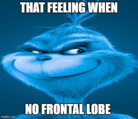 no frontal lobe? | THAT FEELING WHEN; NO FRONTAL LOBE | image tagged in blue grinch | made w/ Imgflip meme maker