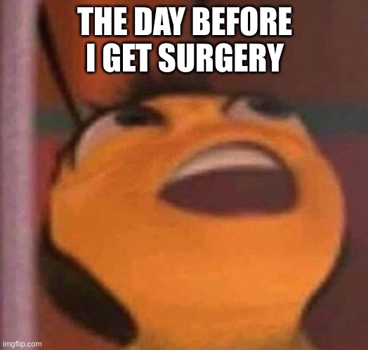 Bee Movie | THE DAY BEFORE I GET SURGERY | image tagged in bee movie | made w/ Imgflip meme maker