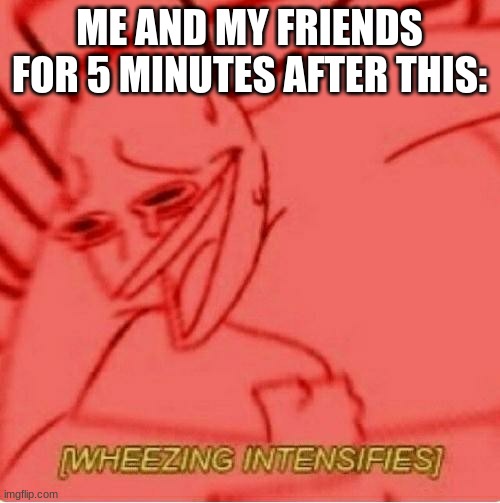 ME AND MY FRIENDS FOR 5 MINUTES AFTER THIS: | image tagged in wheeze | made w/ Imgflip meme maker