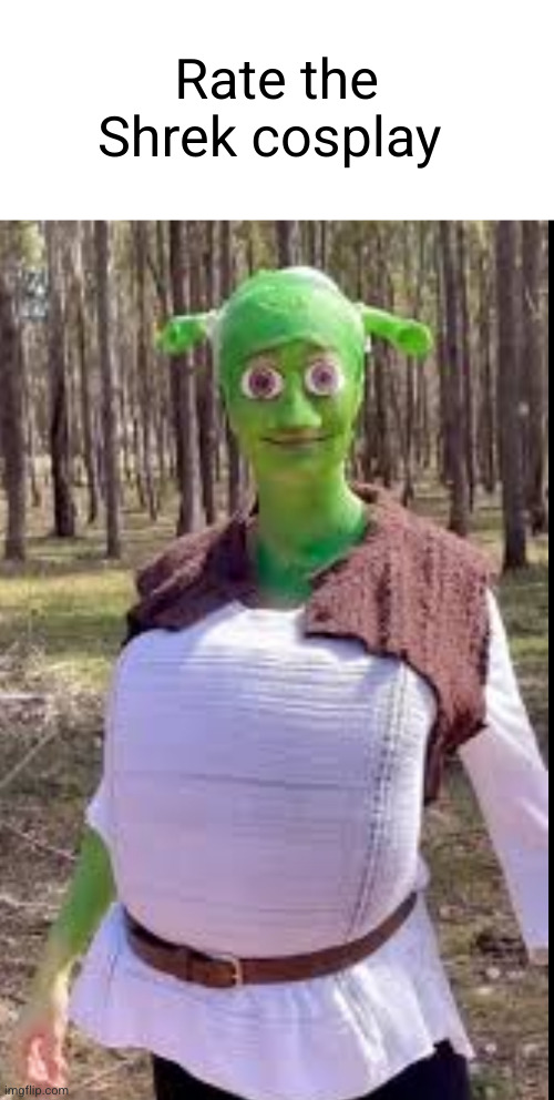 best cosplay ever? | Rate the Shrek cosplay | image tagged in shrek,cosplay,funny,cursed image,woah | made w/ Imgflip meme maker