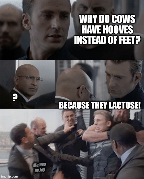 Ha | WHY DO COWS HAVE HOOVES INSTEAD OF FEET? BECAUSE THEY LACTOSE! ? Memes by Jay | image tagged in captain america elevator,cows,dad joke | made w/ Imgflip meme maker