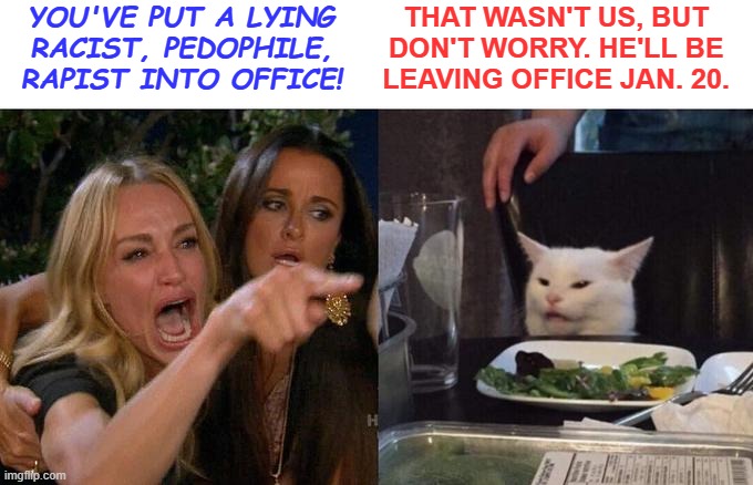 Setting the Record Straight | YOU'VE PUT A LYING
RACIST, PEDOPHILE,
RAPIST INTO OFFICE! THAT WASN'T US, BUT
DON'T WORRY. HE'LL BE
LEAVING OFFICE JAN. 20. | image tagged in memes,woman yelling at cat | made w/ Imgflip meme maker