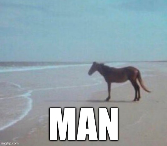 man. | MAN | image tagged in man | made w/ Imgflip meme maker