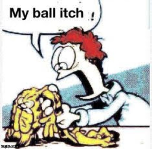 My ball itch ! | image tagged in my ball itch | made w/ Imgflip meme maker