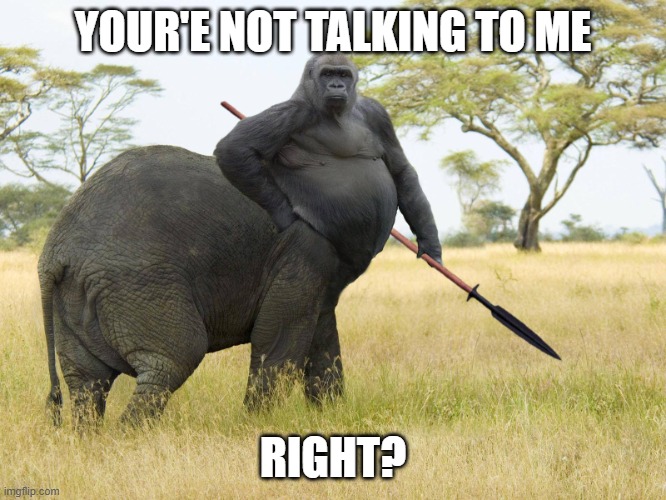 YOUR'E NOT TALKING TO ME RIGHT? | image tagged in big butt gorillaphant | made w/ Imgflip meme maker